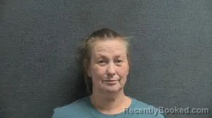 Mugshot of NATASHA L LITTLE booked in Boone County, Kentucky on June 19, 2026