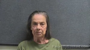 Mugshot of LINDA LUTZ booked in Boone County, Kentucky on June 20, 2026