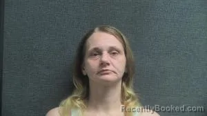 Mugshot of RANDALEE NICOLE GOINS booked in Boone County, Kentucky on June 24, 2026