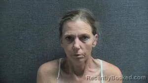 Mugshot of Katheryn Fox booked in Boone County, Kentucky on August 11, 2026