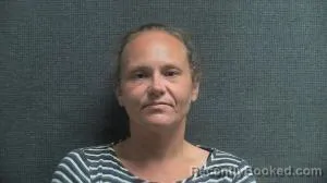 Mugshot of Jessica Lynn Wheeler booked in Boone County, Kentucky on August 14, 2026