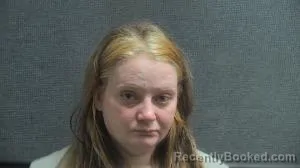 Mugshot of Theresa N Taylor booked in Boone County, Kentucky on September 12, 2026