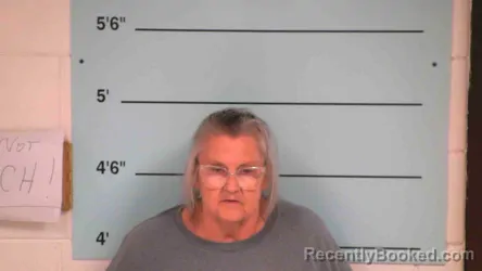 Mugshot of Deborah Mcdonald booked in Bourbon County, Kentucky on October 8, 2026