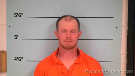 Mugshot of RICHARD MITCHELL