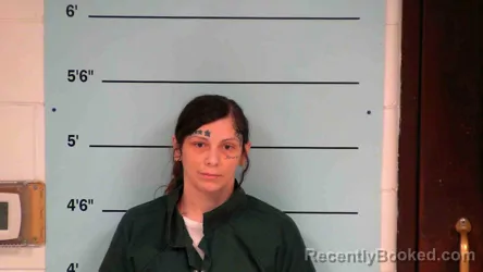 Mugshot of KIMBERLY BUSSELL