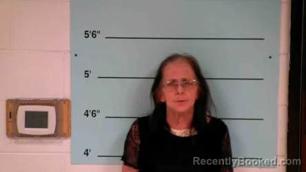 Mugshot of LISA GILBERT
