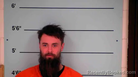 Mugshot of ZACHARY WELLS