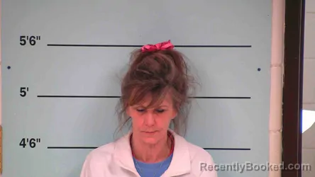 Mugshot of TAMARA FISHER