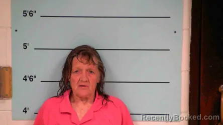 Mugshot of LEONIE SEESING booked in Bourbon County, Kentucky on June 21, 2026