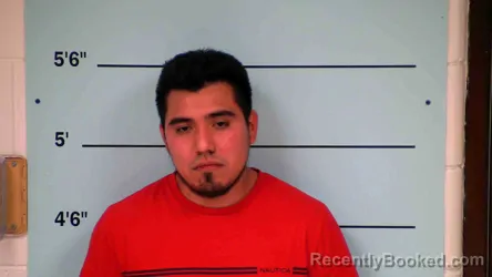 Mugshot of LEONILO HERNANDEZ