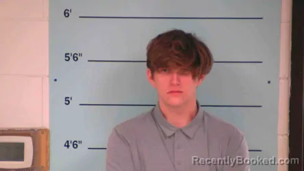 Mugshot of MATTHEW ELLIS
