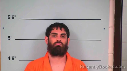 Mugshot of LOGAN SPARKS