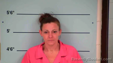 Mugshot of AMANDA FANNIN