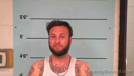 Mugshot of BRANDON STIDHAM