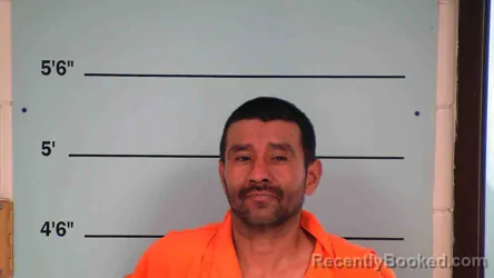 Mugshot of MARBEL GARDUNO