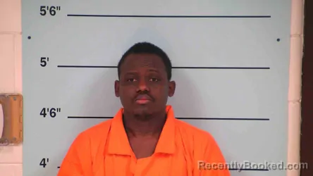 Mugshot of JUNEL METHELUS