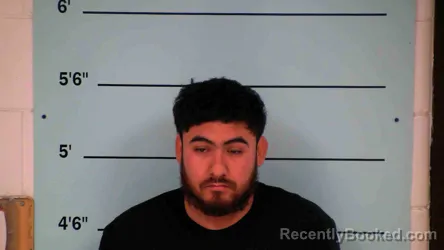 Mugshot of FERNANDO JIMENEZ CAPETILLO