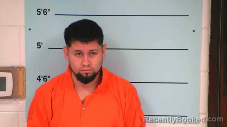 Mugshot of LUIS NAVARRO SANCHEZ