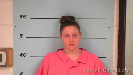 Mugshot of HOLLY MCHENRY
