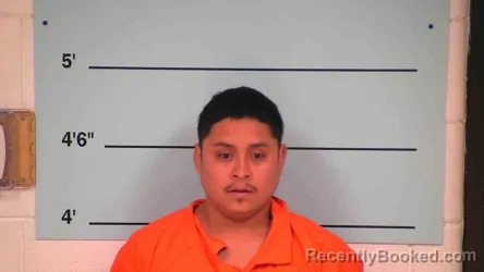 Mugshot of JAMILTON FIDEL CHAVEZ-MENDOSA