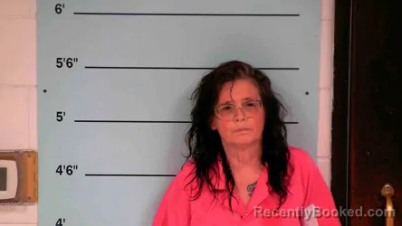Mugshot of TINA KOLOSKY-BURKHART