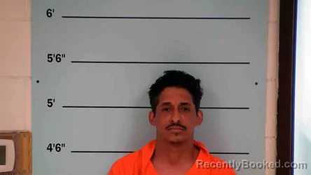 Mugshot of ANGEL LEFEBRE ALVAREZ