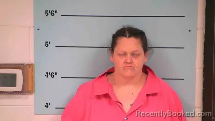 Mugshot of TAMMY HAYDEN
