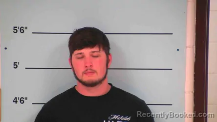 Mugshot of LINCOLN DARRELL