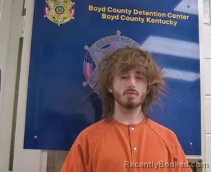 Mugshot of JORDAN GIBSON