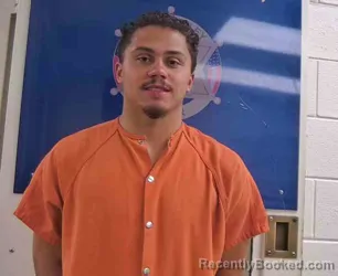 Mugshot of CAMARON COLLINS