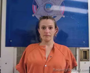 Mugshot of EMILY BROWNING