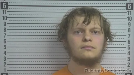 Mugshot of ANDREW RAY LEDFORD