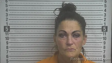 Mugshot of CHARITY SUE CASTINE booked in Boyle County, Kentucky on June 16, 2026