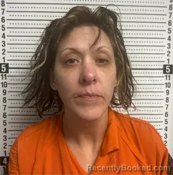 Mugshot of DANIELLE MICHELLE PEARSON