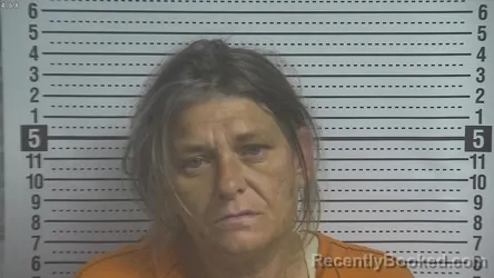 Mugshot of ELIZABETH ANN TEVIS booked in Boyle County, Kentucky on May 15, 2026