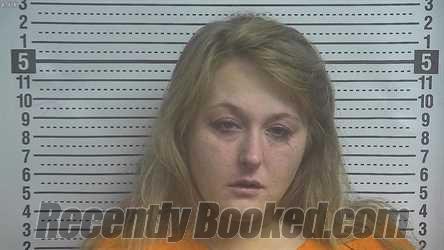 Booking photo from Boyle County, Kentucky