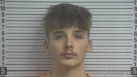 Mugshot of JACOB DYLAN BROWN