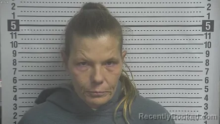 Mugshot of MELISSA ANN HIMES booked in Boyle County, Kentucky on March 27, 2026