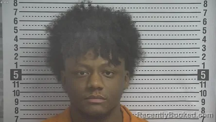 Mugshot of MAREO ANTHONY FUQUA IRVIN