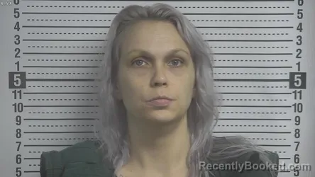 Mugshot of MINDY NICHOLE WELLS booked in Boyle County, Kentucky on June 23, 2026