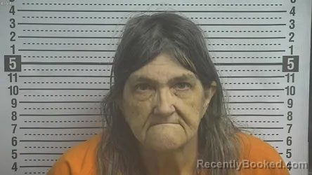 Mugshot of RITA LYNN BROCK
