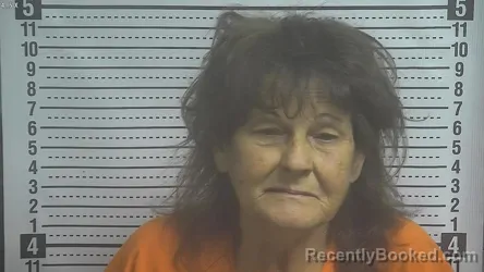 Mugshot of Sherry Lynn Miner booked in Boyle County, Kentucky on October 24, 2026