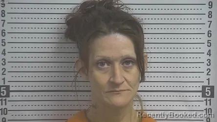 Mugshot of SANDRA MARIE WILKERSON booked in Boyle County, Kentucky on April 3, 2026