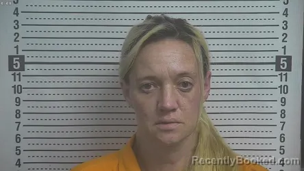 Mugshot of TABETHA GAIL LYNN booked in Boyle County, Kentucky on April 8, 2026