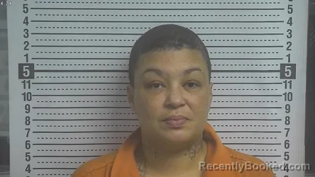 Mugshot of Whitney Lee Houston booked in Boyle County, Kentucky on August 14, 2026