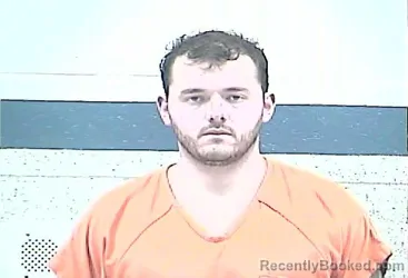 Mugshot of DALLAS MICHEAL BELL