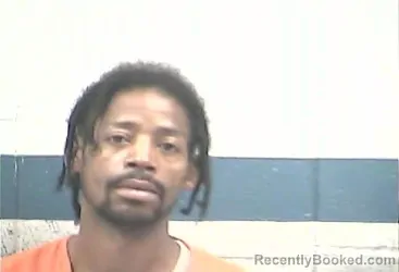 Mugshot of Demris Bouvier Seewright