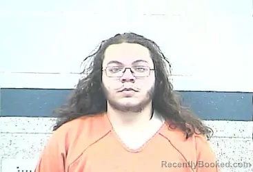 Mugshot of ISAIAH NATHANIEL BURGIN