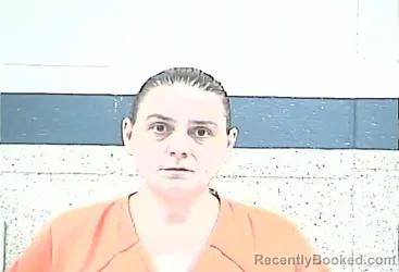 Mugshot of JESSICA FAYE ROBBINS