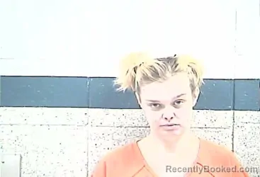 Mugshot of SARA ELIZABETH AUSTIN